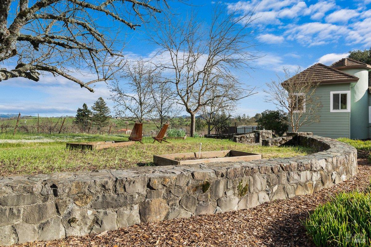 910-920 Lytton Springs Road Healdsburg, CA 95448 - Photo 38 of 59 a view of a yard with an trees