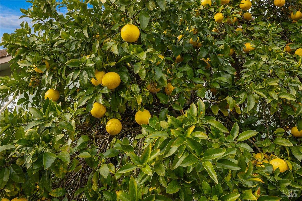 910-920 Lytton Springs Road Healdsburg, CA 95448 - Photo 44 of 59 a view of a area