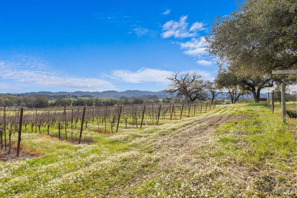 910-920 Lytton Springs Road Healdsburg, CA 95448 - Photo 46 of 59 a view of a lake with a big yard