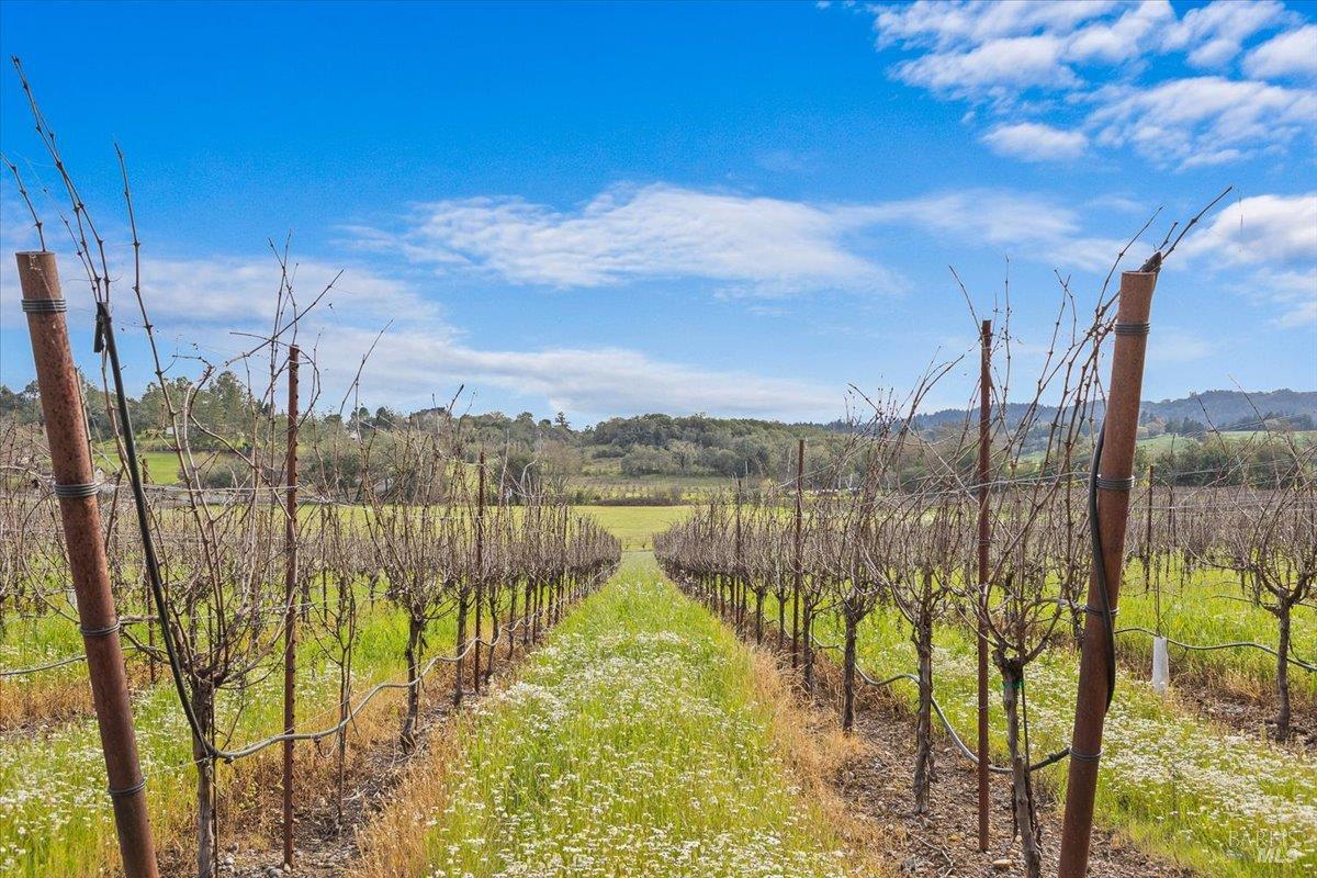 910-920 Lytton Springs Road Healdsburg, CA 95448 - Photo 47 of 59 a view of lake