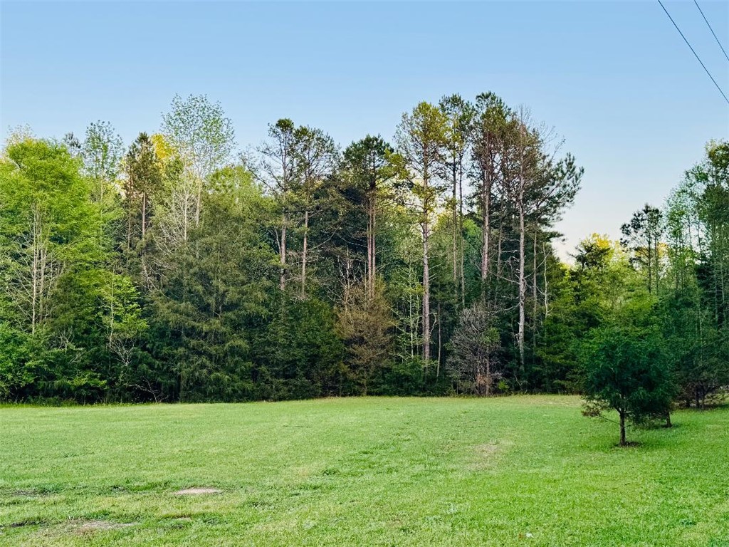 58 West Lake Ridge Drive Iva, SC 29655 - Photo 3 of 4