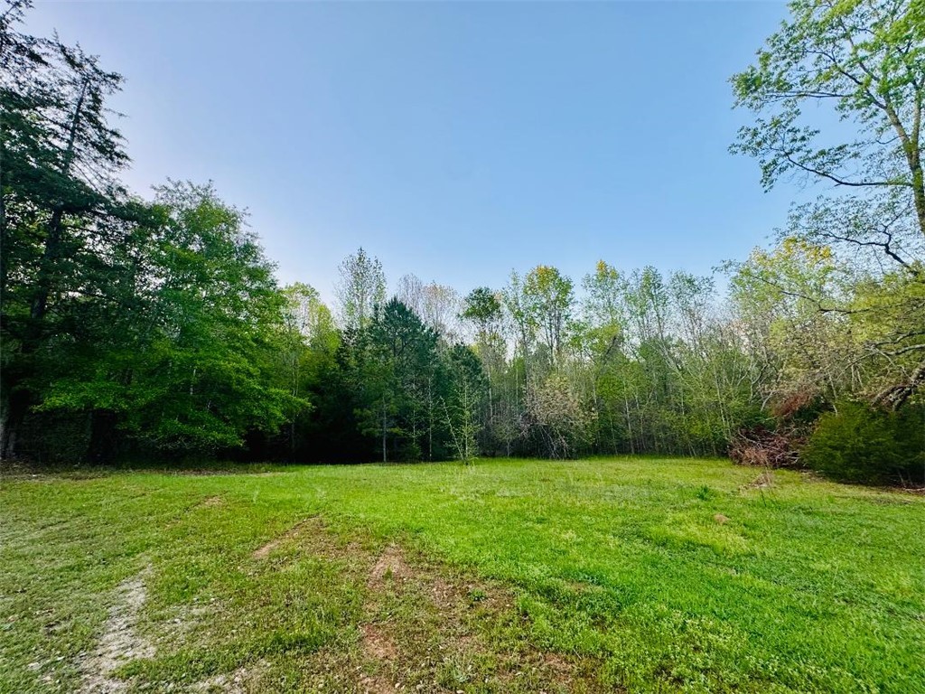 58 West Lake Ridge Drive Iva, SC 29655 - Photo 4 of 4