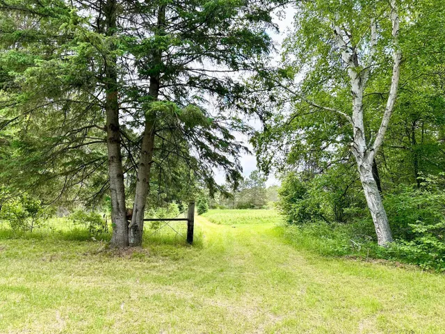 $49,900 | Tbd Tbd Little Cowhorn Public Access Road, Grand Rapids, MN 55744