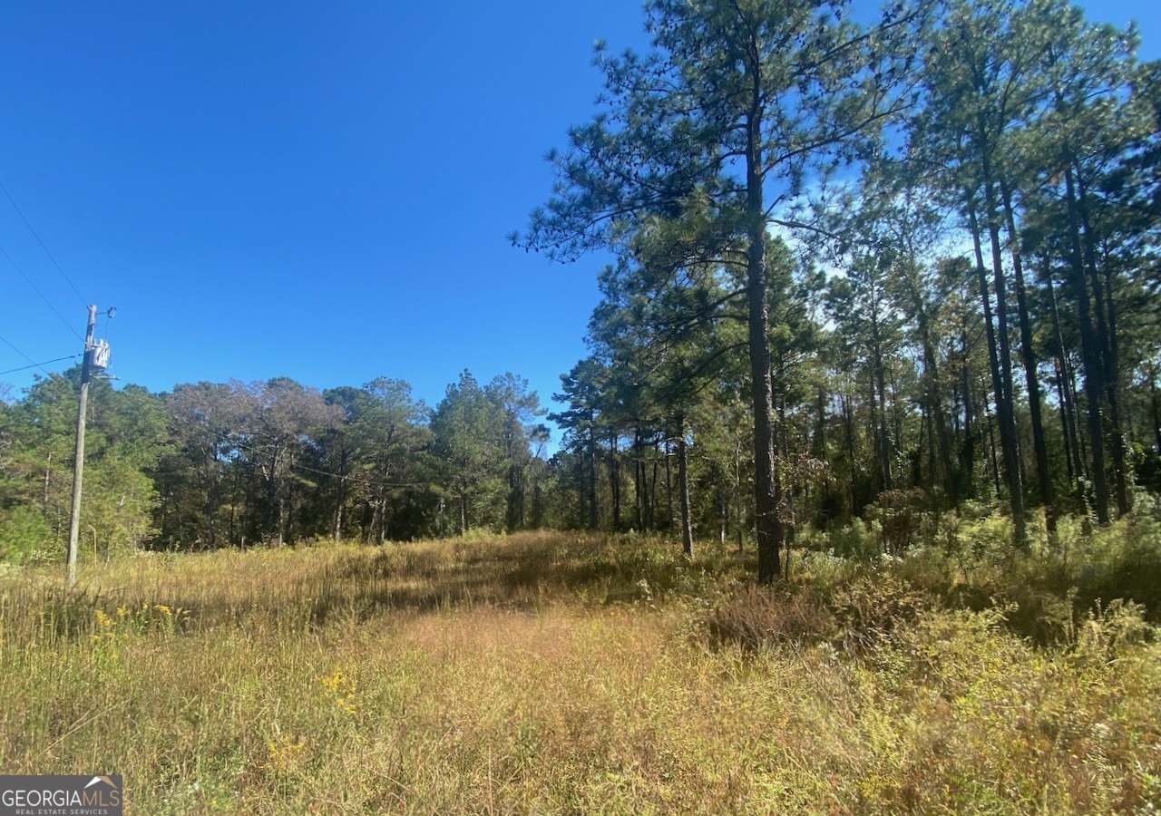 836 Rowland Road Fort Valley, GA 31030 - Photo 2 of 6