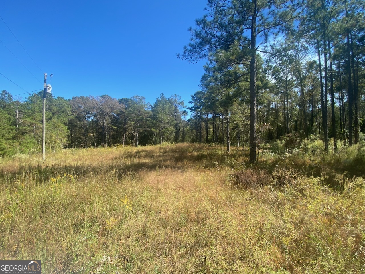 836 Rowland Road Fort Valley, GA 31030 - Photo 3 of 6 a view of a lake view