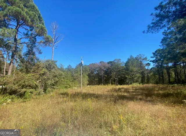a view of backyard with green space