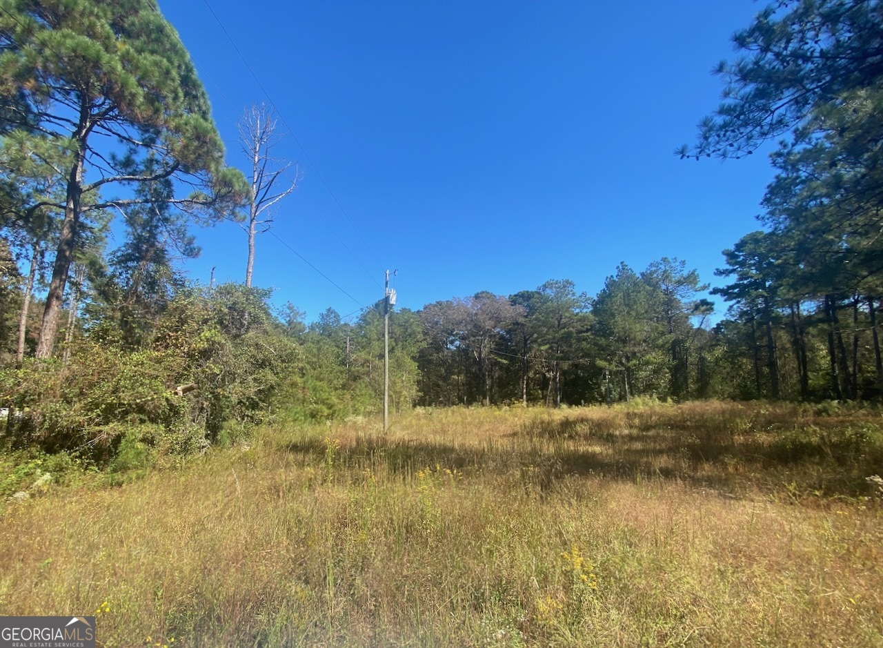 836 Rowland Road Fort Valley, GA 31030 - Photo 4 of 6 a view of lake with green space