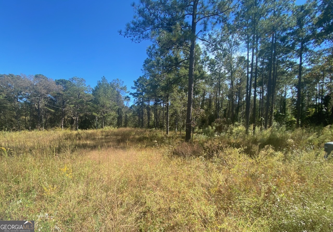 836 Rowland Road Fort Valley, GA 31030 - Photo 5 of 6 a view of backyard with green space