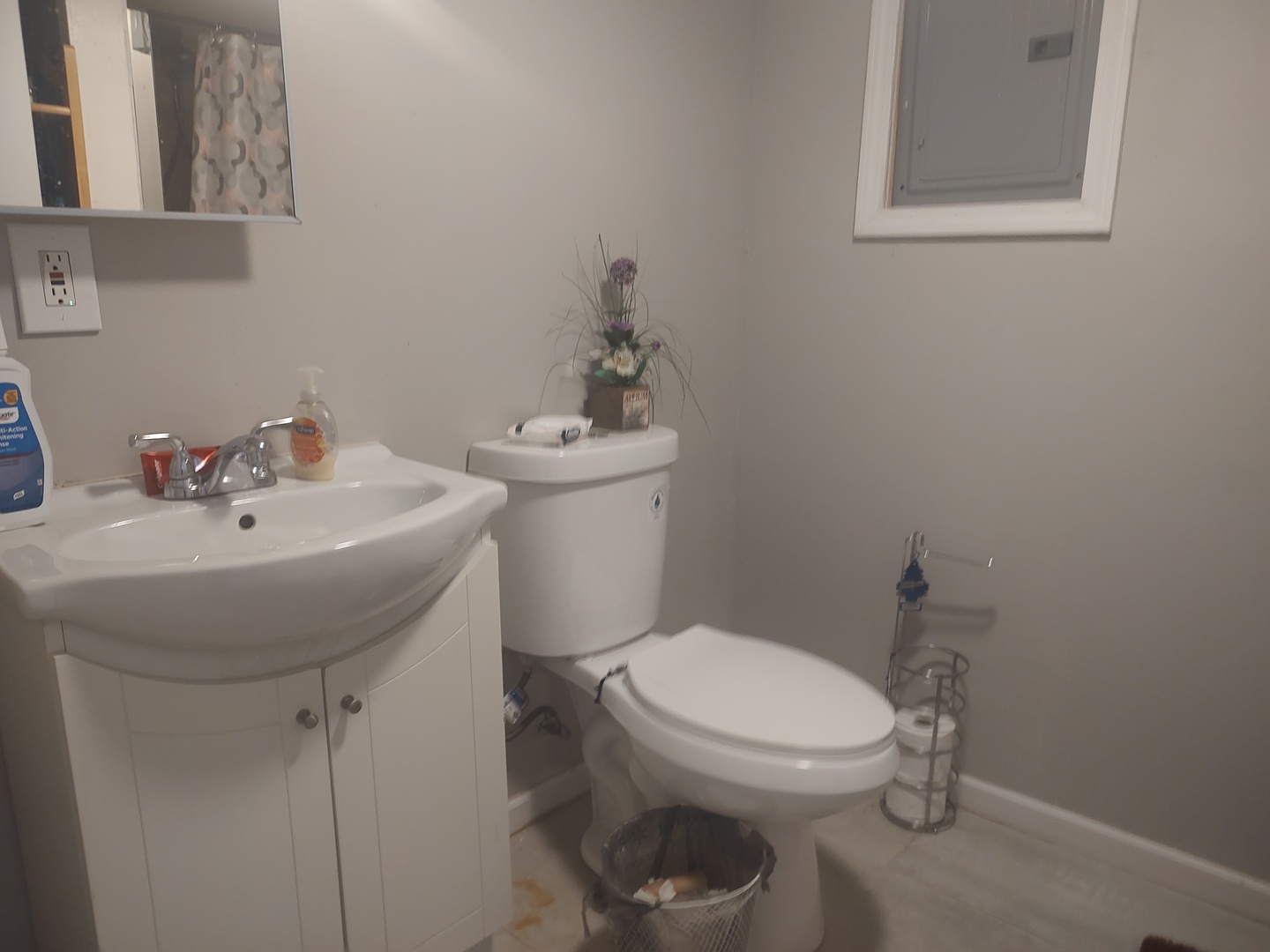 1045 Palace Street Aurora, IL 60506 - Photo 10 of 28 a bathroom with a sink a toilet and a mirror