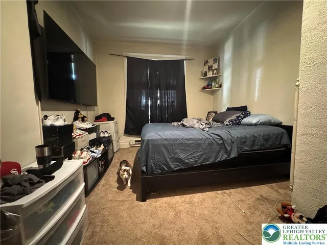 a bedroom with a bed and a flat tv screen