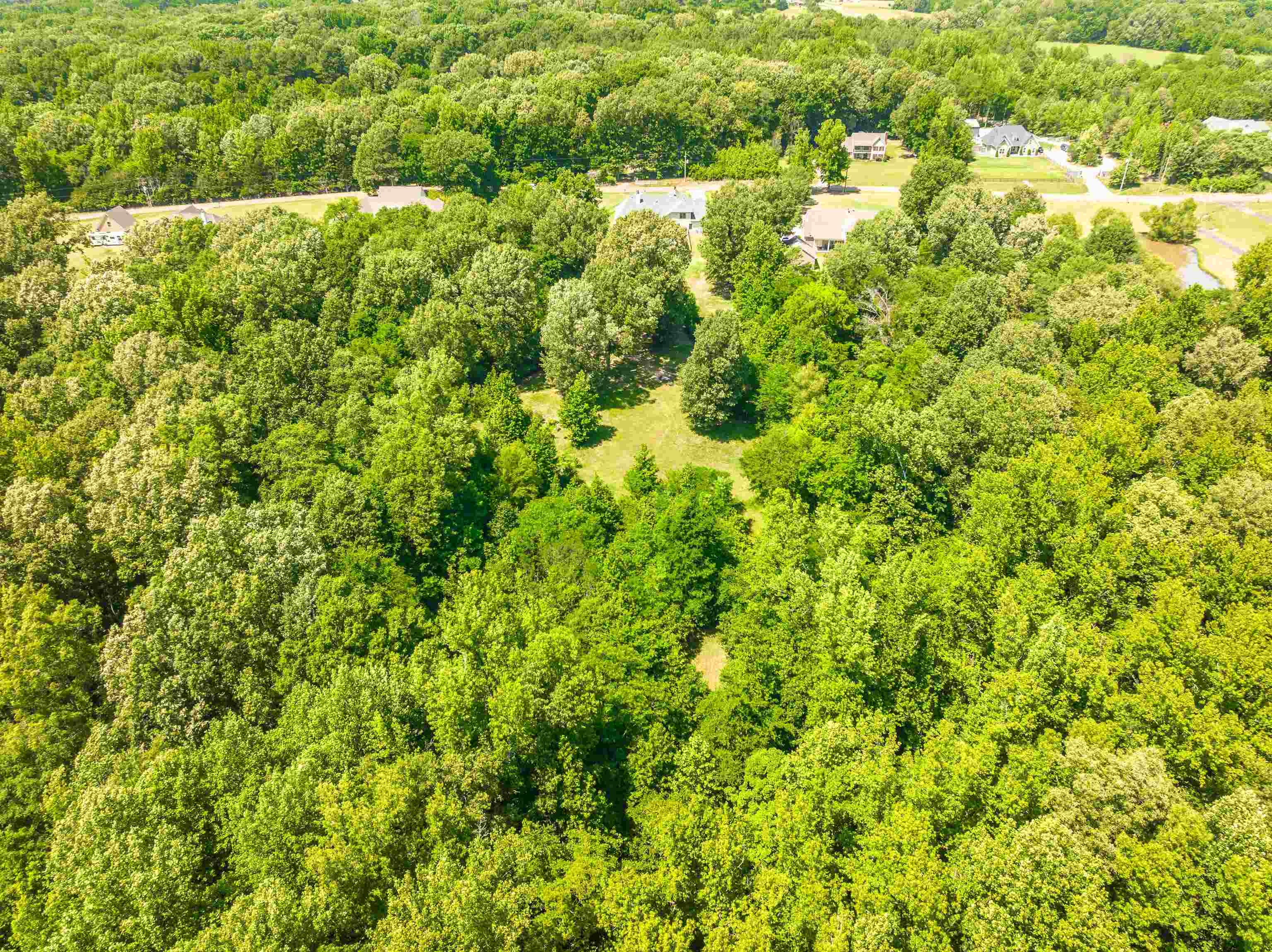 9028 Osborntown Road Arlington, TN 38002 - Photo 40 of 40 a view of a large yard with plants and large trees