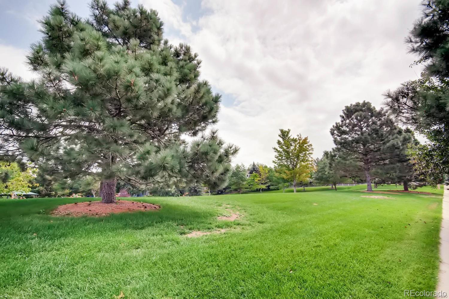 7009 Townsend Drive Highlands Ranch, CO 80130 - Photo 34 of 35 Gallery Image 34