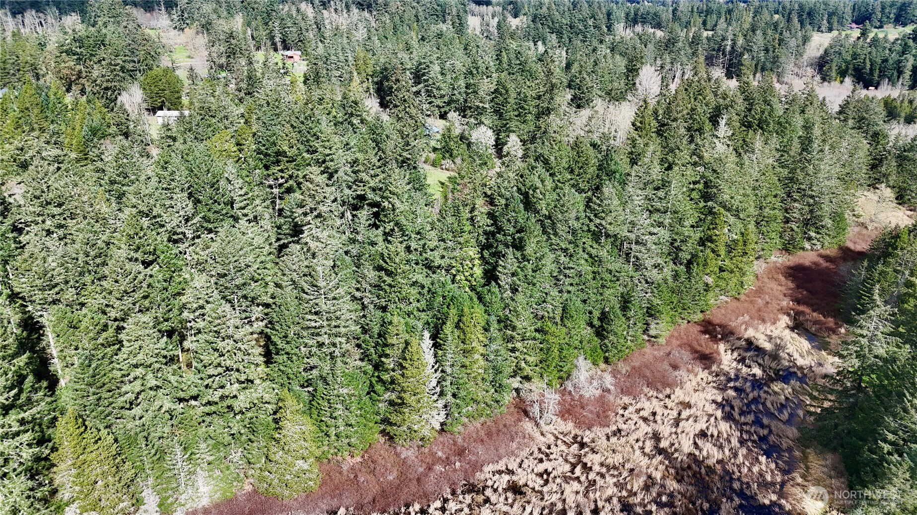 0 Egg Lake Road Friday Harbor, WA 98250 - Photo 4 of 9