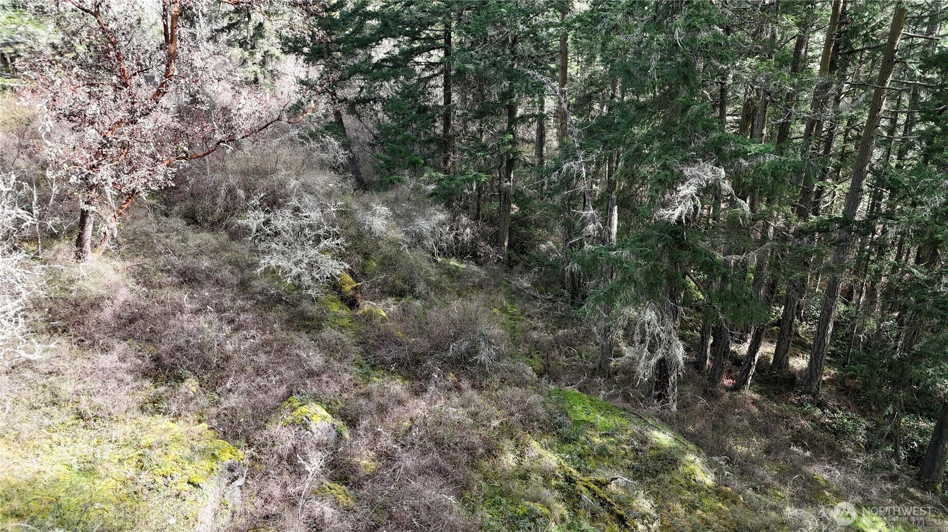 0 Egg Lake Road Friday Harbor, WA 98250 - Photo 6 of 9