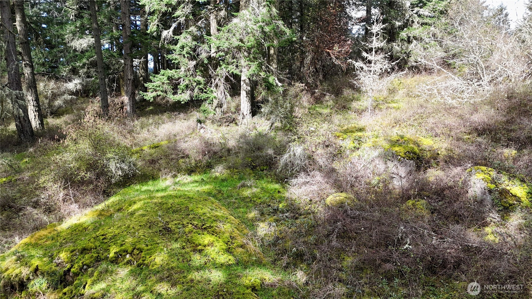 0 Egg Lake Road Friday Harbor, WA 98250 - Photo 7 of 9