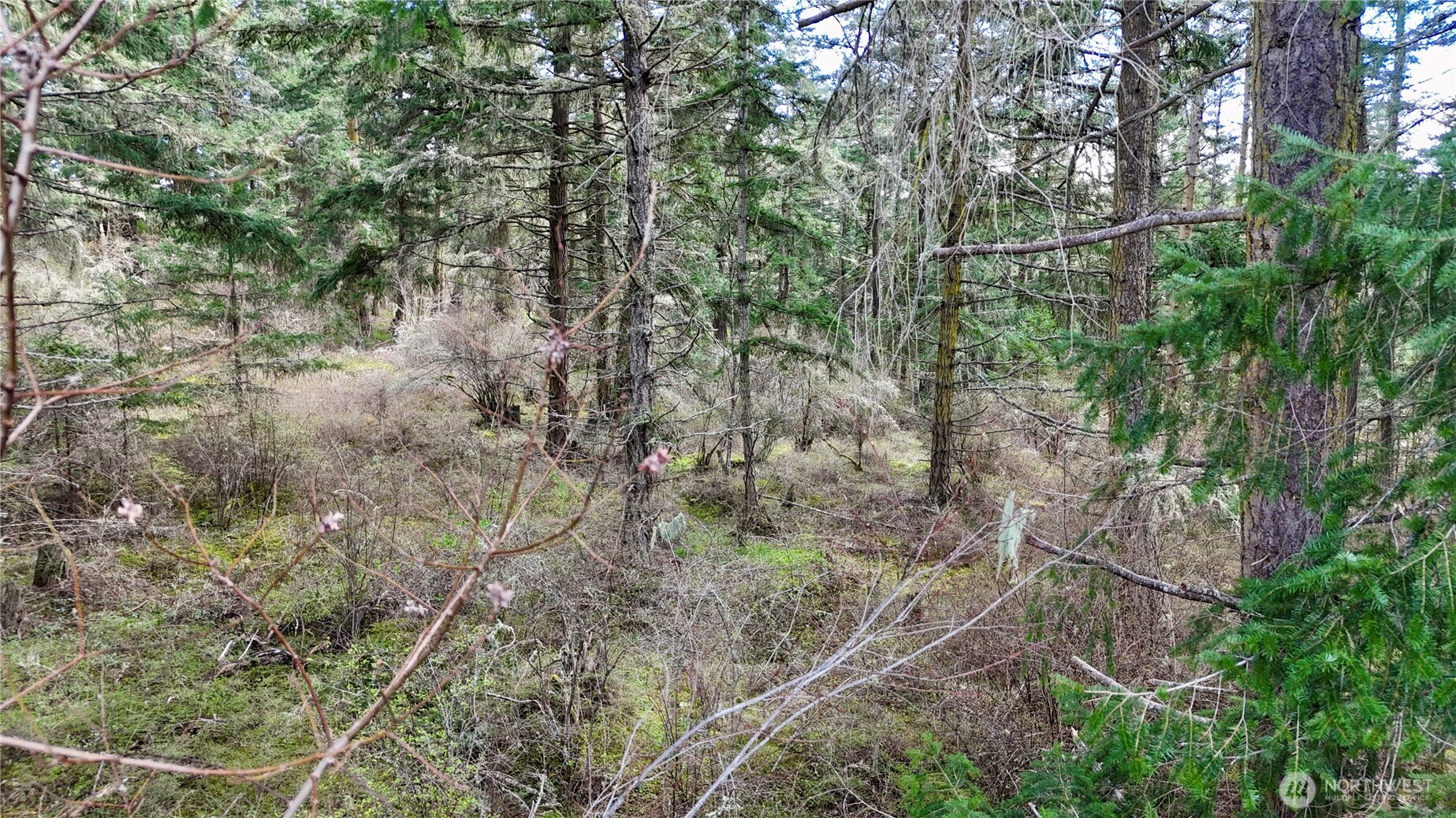 0 Egg Lake Road Friday Harbor, WA 98250 - Photo 8 of 9