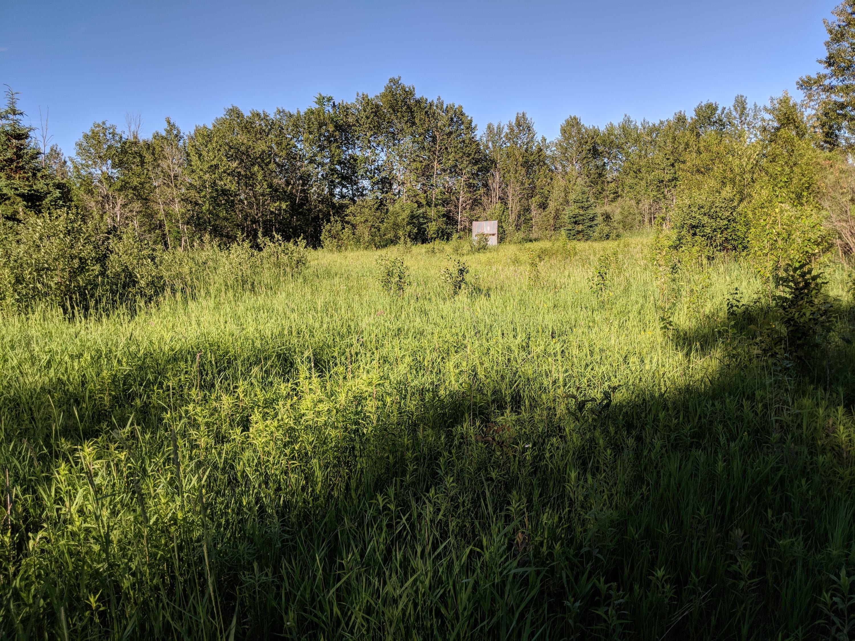Ohlrich Road Posen, MI 49776 - Photo 11 of 18 Gallery Image 11