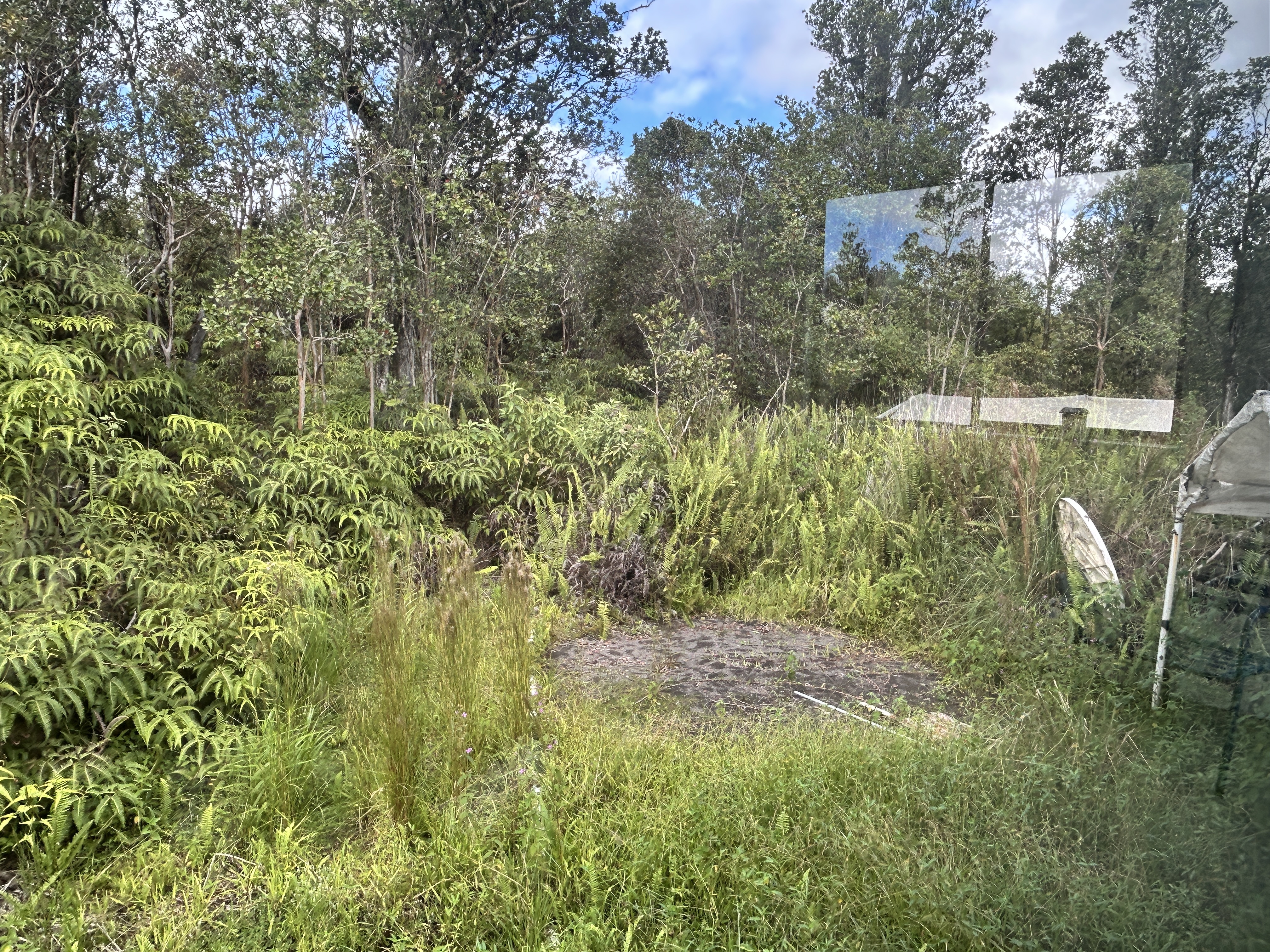 11-1834 Kolea Street Mountain View, HI 96771 - Photo 14 of 30 a view of a lake with a house