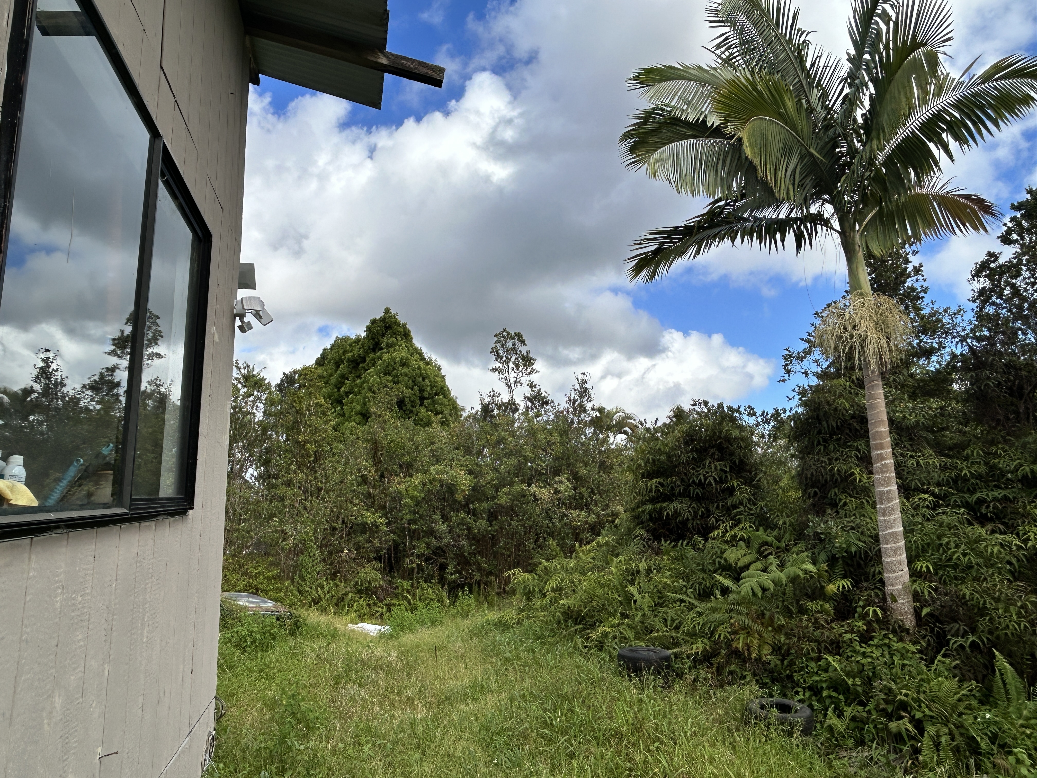 11-1834 Kolea Street Mountain View, HI 96771 - Photo 2 of 30 a view of a garden