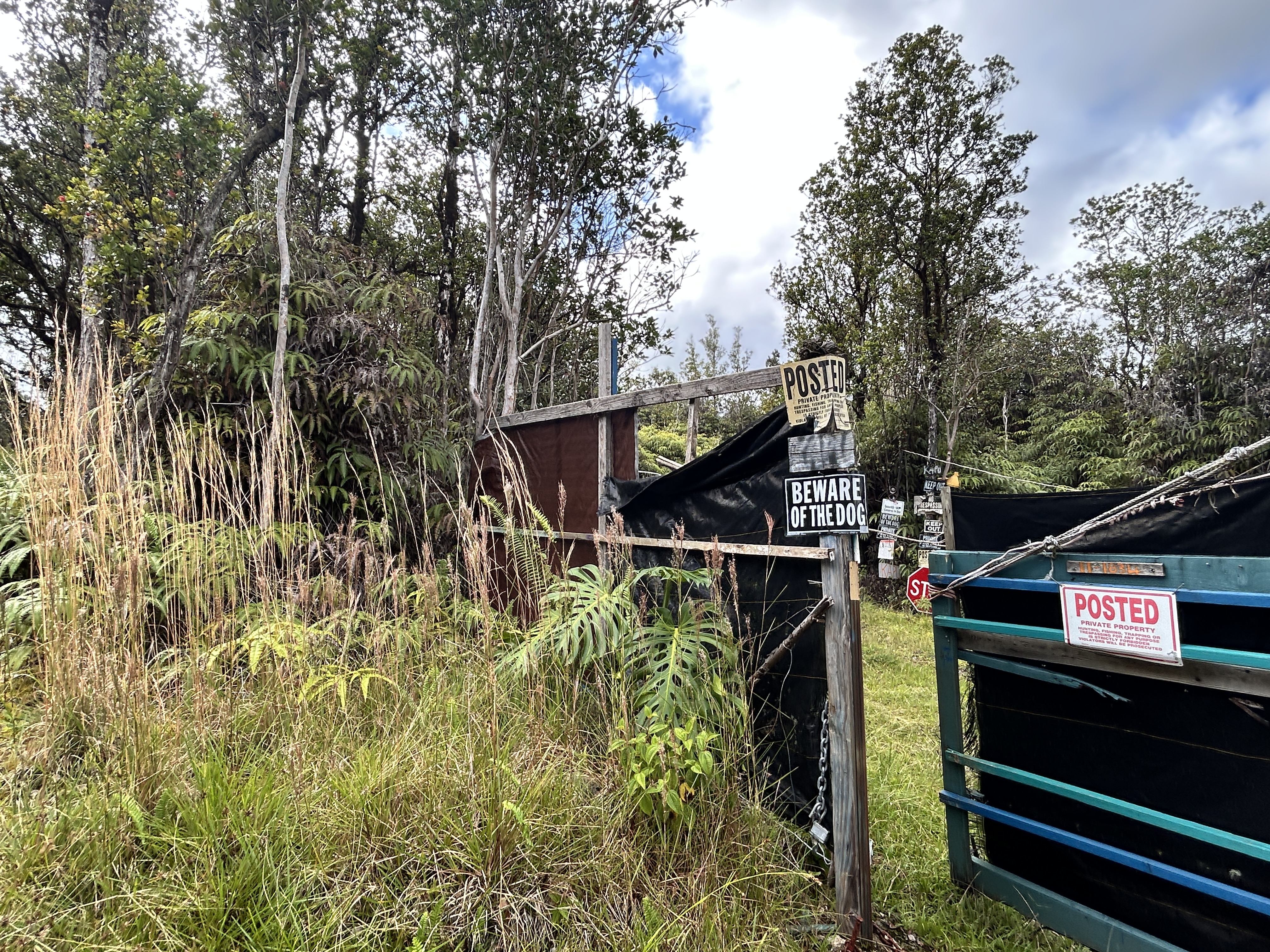 11-1834 Kolea Street Mountain View, HI 96771 - Photo 27 of 30 a view of a street from a building