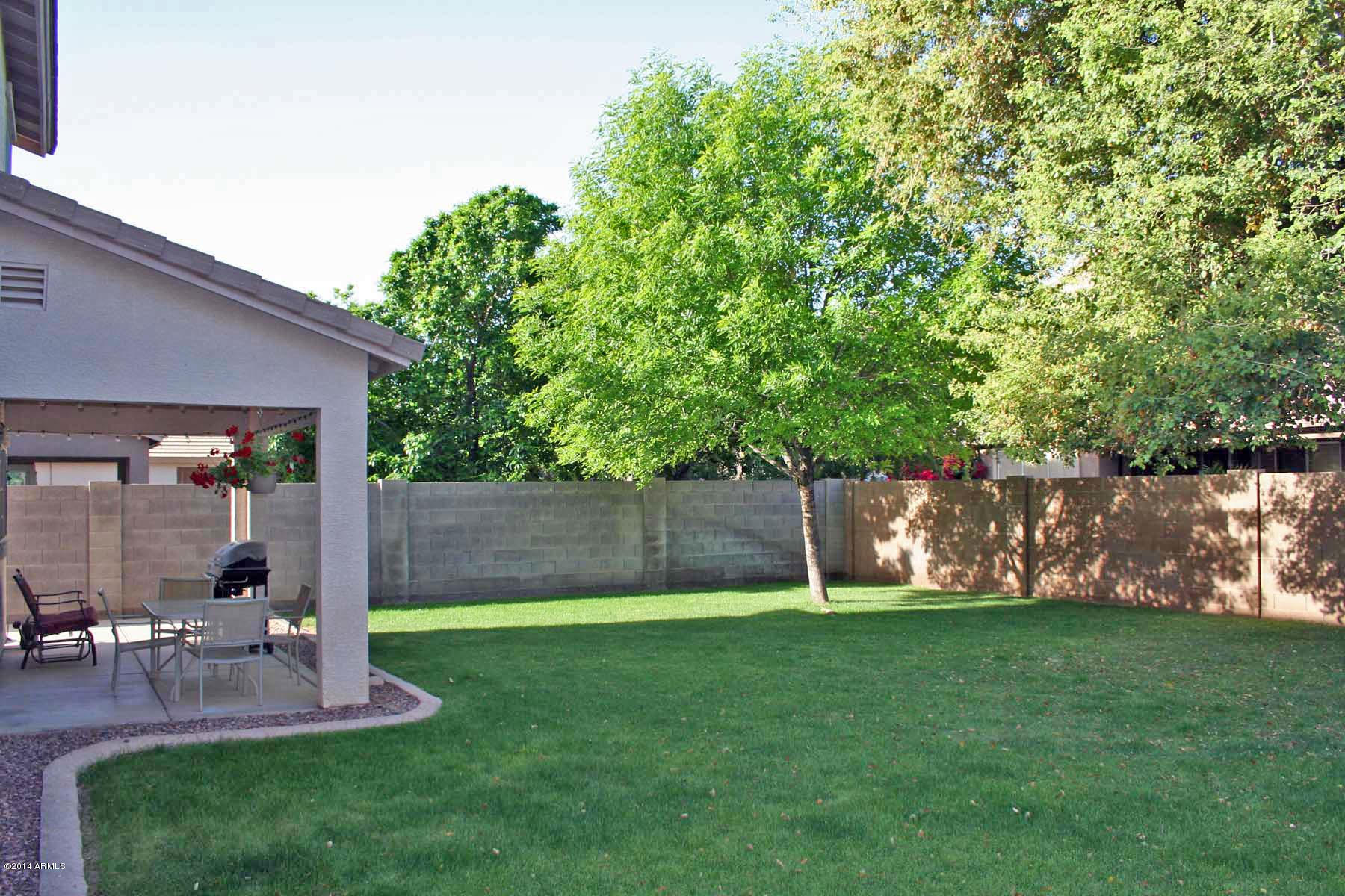3318 South Wade Drive Gilbert, AZ 85297 - Photo 23 of 25 Backyard