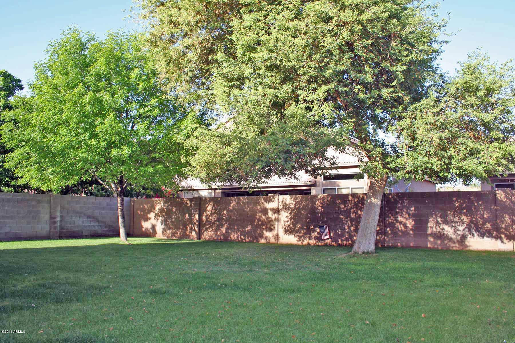 3318 South Wade Drive Gilbert, AZ 85297 - Photo 24 of 25 Backyard