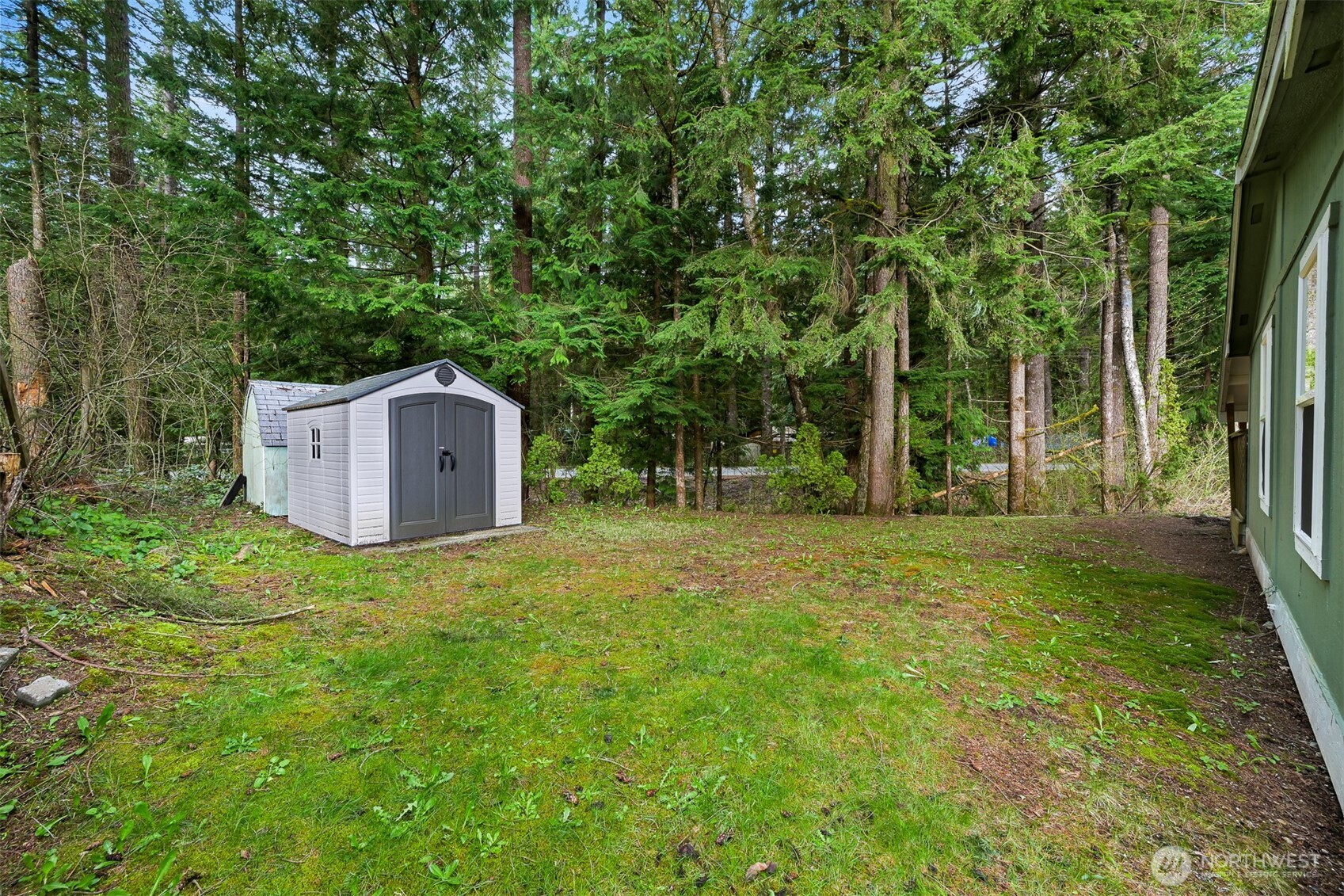 6159 Cedar Lane Maple Falls, WA 98266 - Photo 28 of 31 a backyard of a house with plants and large tree