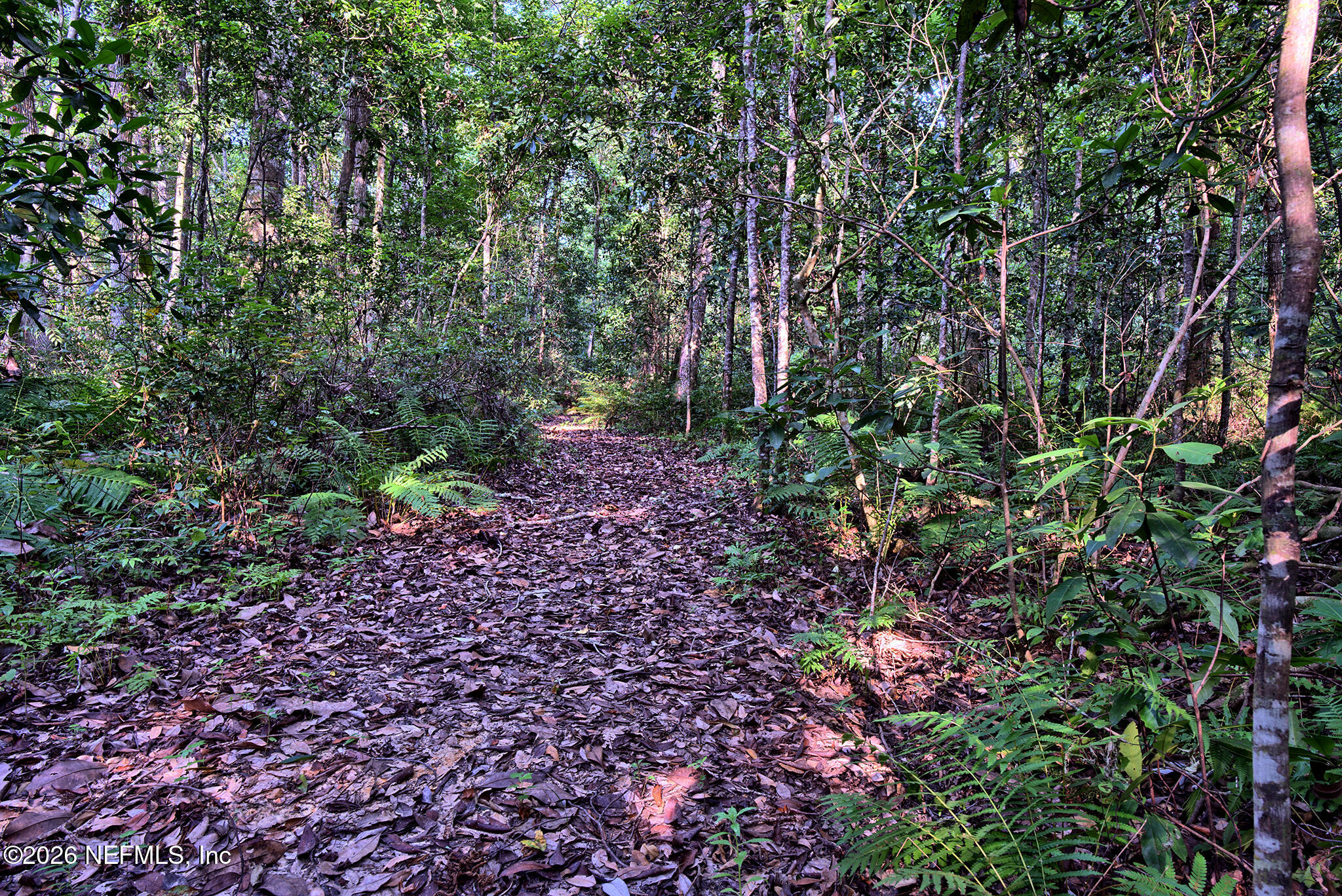 117 Gas Easement Road Interlachen, FL 32148 - Photo 22 of 52 Gas Easement Rd trail - 1