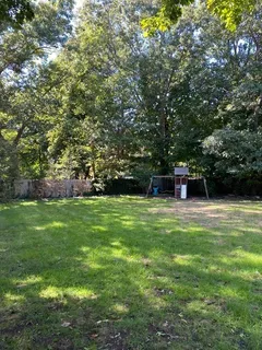 a view of a trees in a yard