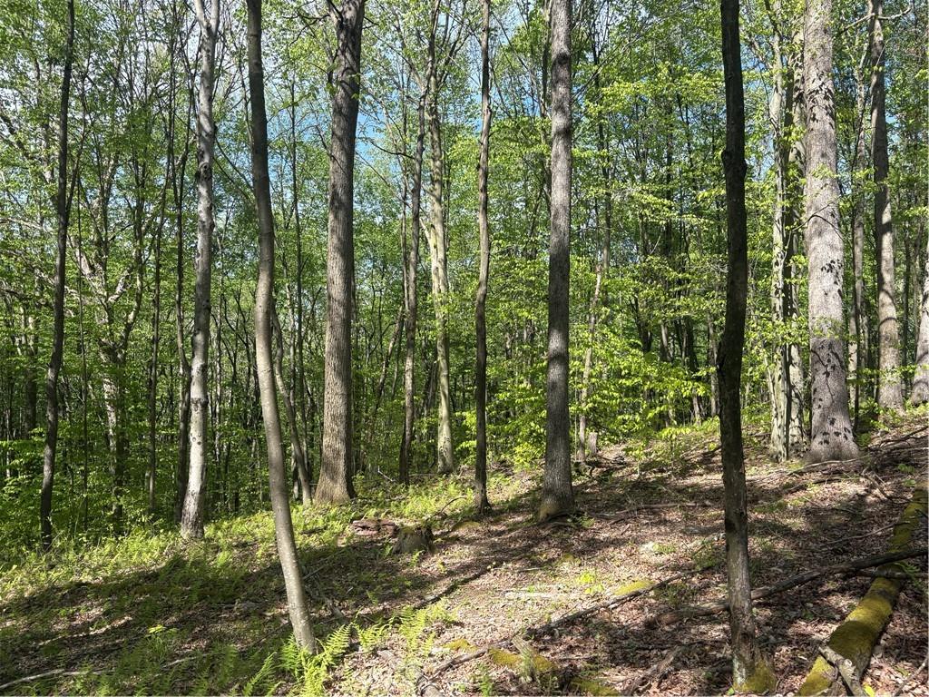 Lot 3-4 Killarney Road Mill Run, PA 15464 - Photo 16 of 29 Gallery Image 16