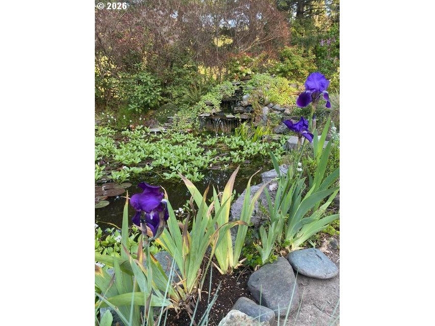 1121 Yeust Road Azalea, OR 97410 - Photo 39 of 48