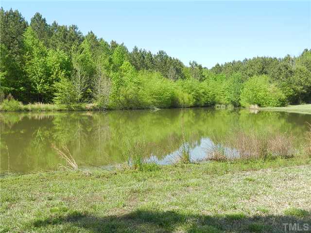 2499 Person Road Louisburg, NC 27549 - Photo 18 of 19 Front Pond View