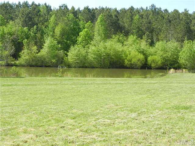 2499 Person Road Louisburg, NC 27549 - Photo 19 of 19 Additional Pond View
