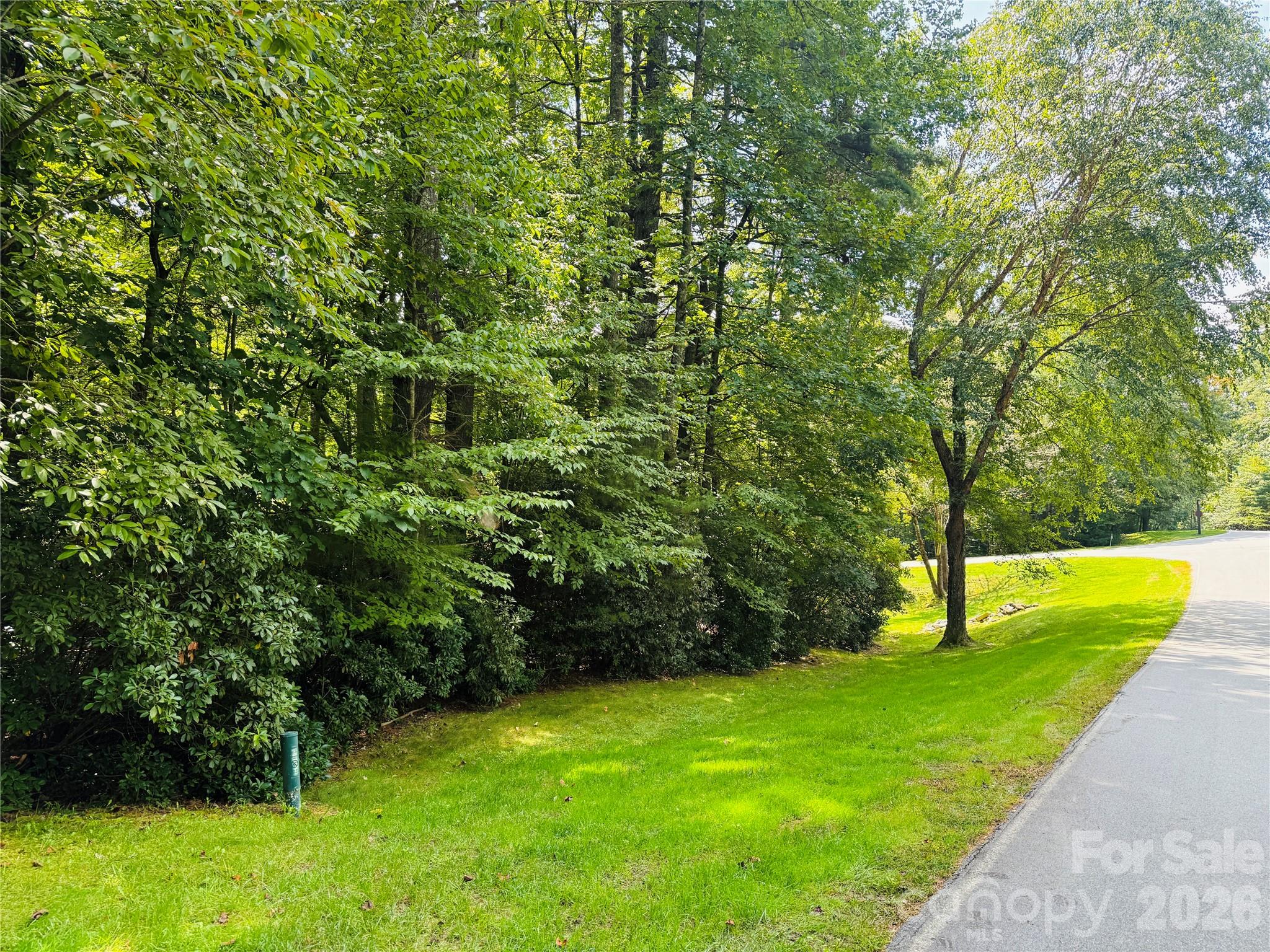 20 Prickly Briar Road Hendersonville, NC 28739 - Photo 2 of 9 a view of a garden with a bench