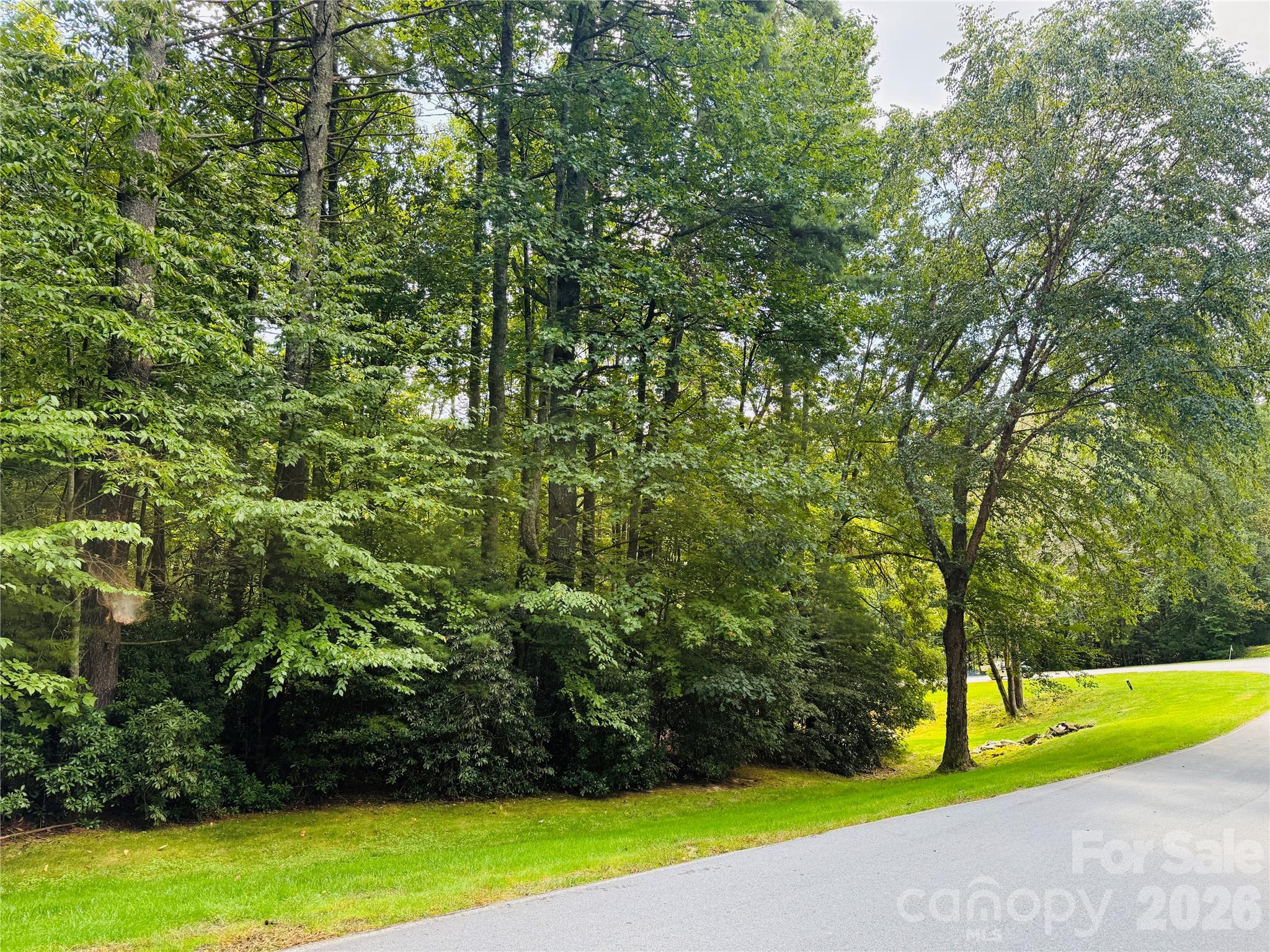 20 Prickly Briar Road Hendersonville, NC 28739 - Photo 3 of 9 a view of outdoor space and yard