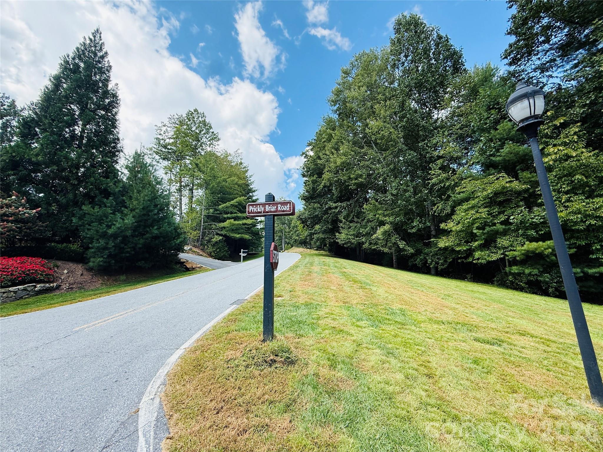 20 Prickly Briar Road Hendersonville, NC 28739 - Photo 4 of 9 a view of a backyard