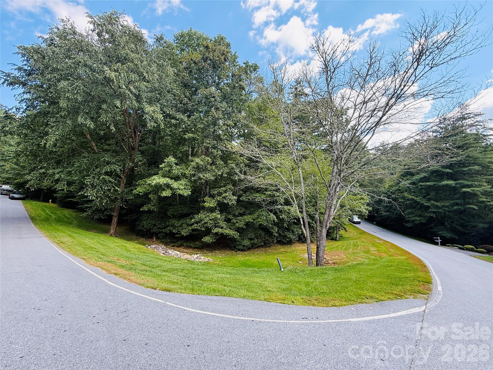 20 Prickly Briar Road Hendersonville, NC 28739 - Photo 5 of 9 a view of a swimming pool with a yard
