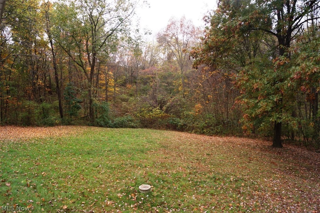71 Skeleton Road Northwest Dellroy, OH 44620 - Photo 12 of 13