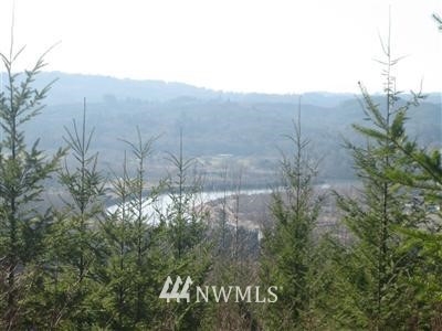-lot 11a Headquarters Road Kelso, WA 98626 - Photo 1 of 1