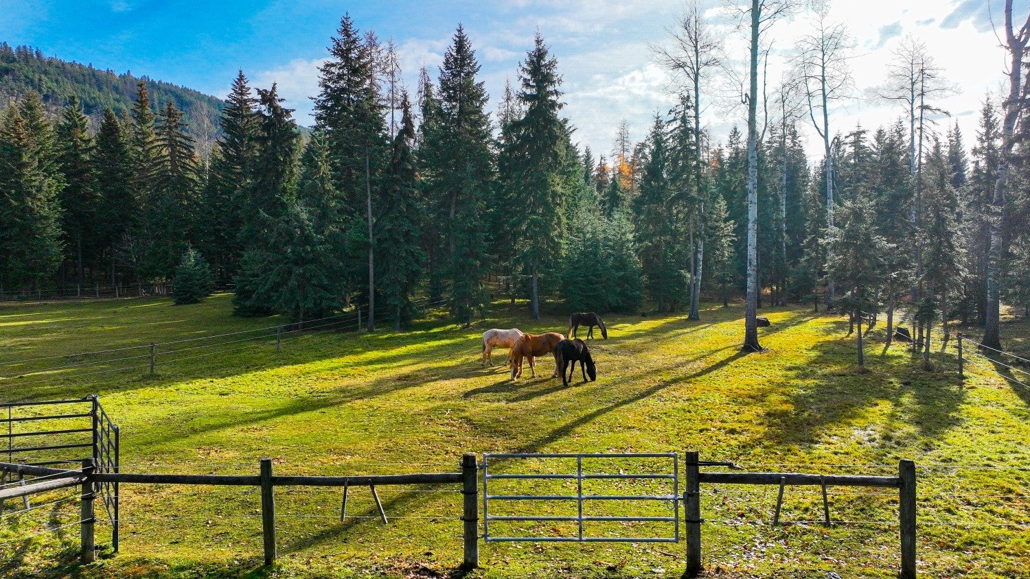 2503 Wild Bill Road Kila, MT 59920 - Photo 46 of 78 Gallery Image 46