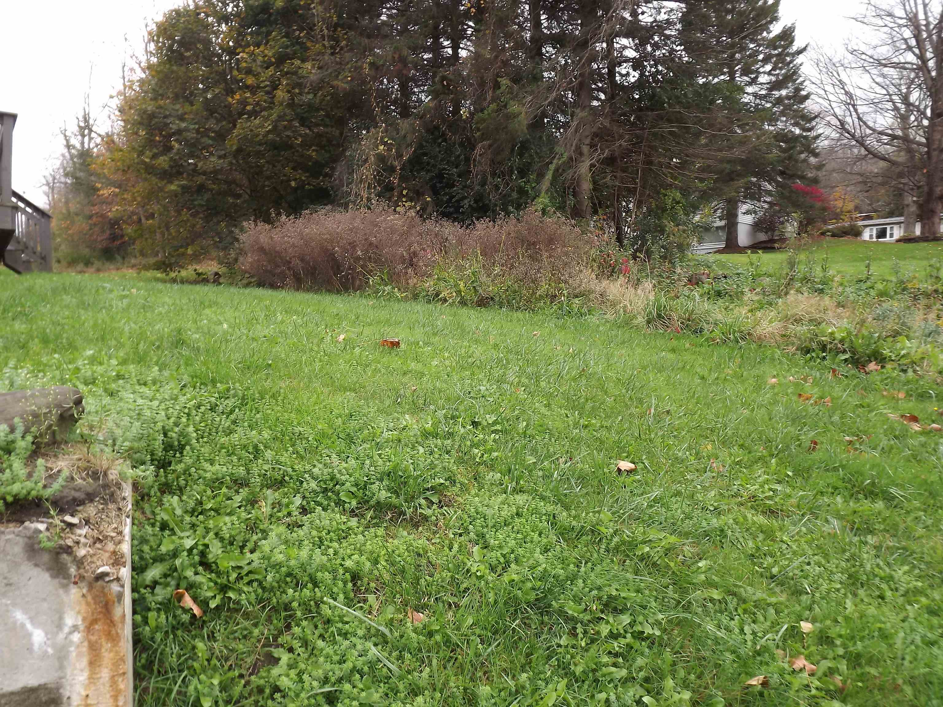 49 Country Way Barre, VT 05641 - Photo 24 of 26 Gallery Image 24