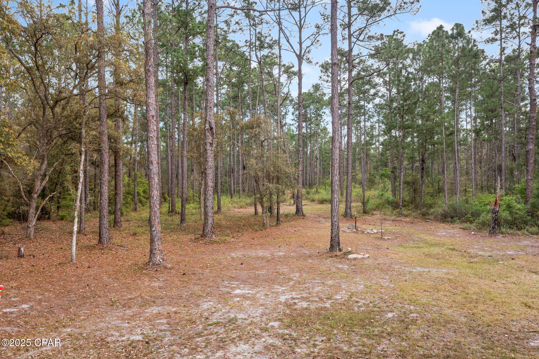 5177 Gaston Road Vernon, FL 32462 - Photo 26 of 42
