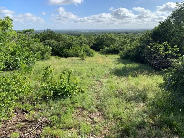 a view of a green field with lots of bushes