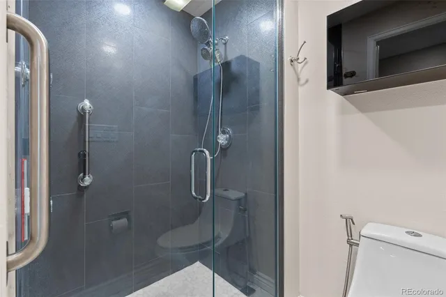 a bathroom with a shower and toilet