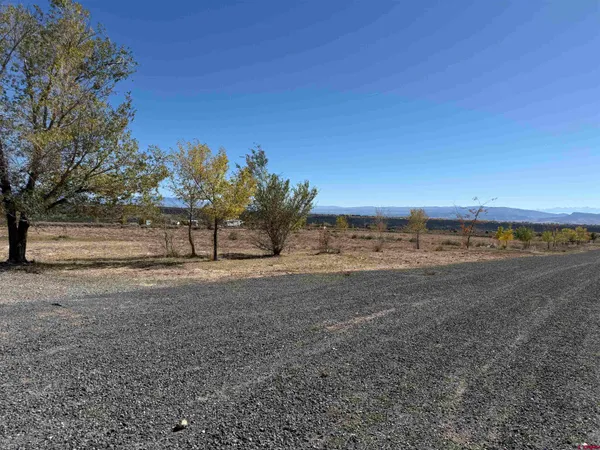 a view of dirt field with trees