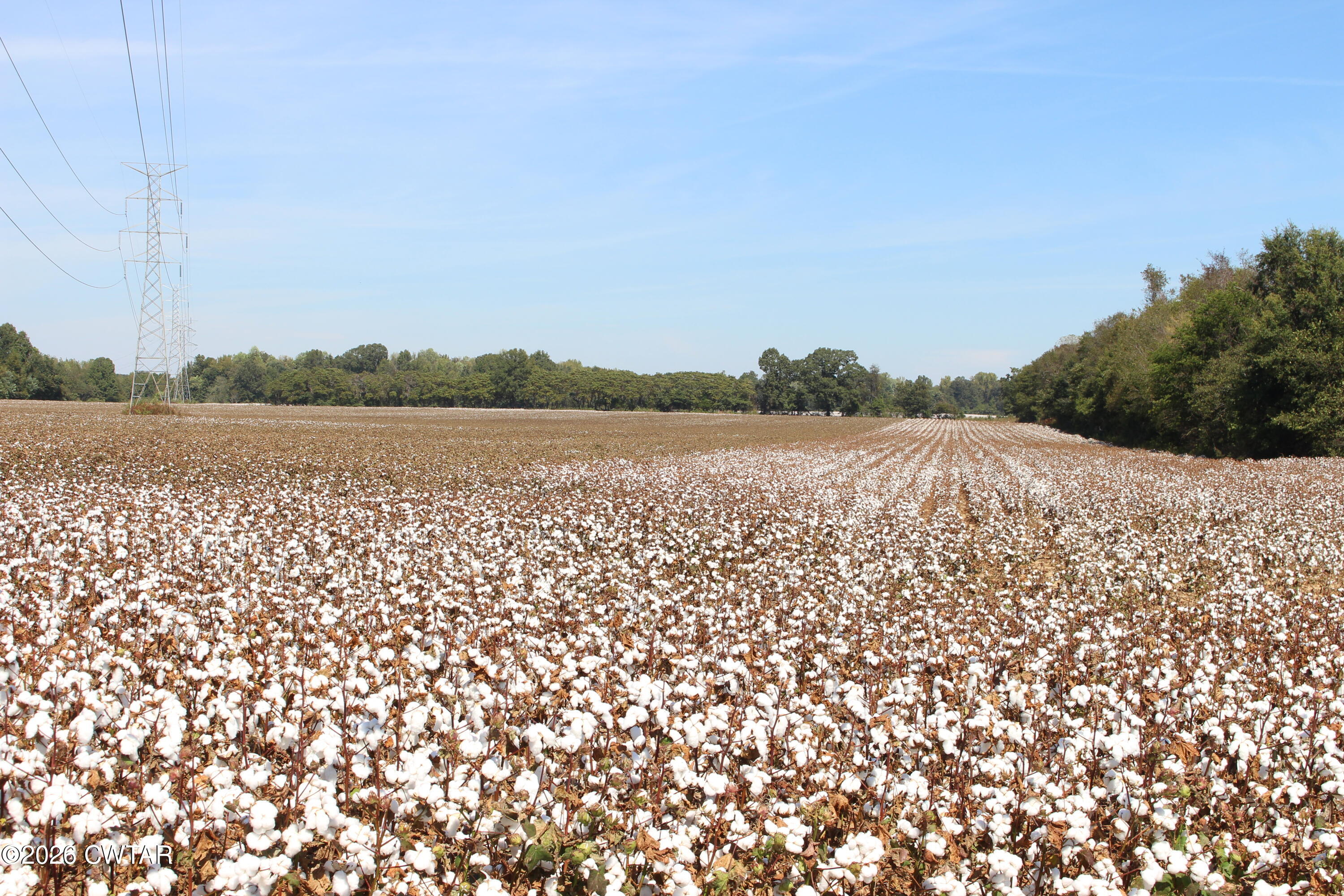 11 Cotton Grove Road Jackson, TN 38305 - Photo 3 of 7 IMG_0081