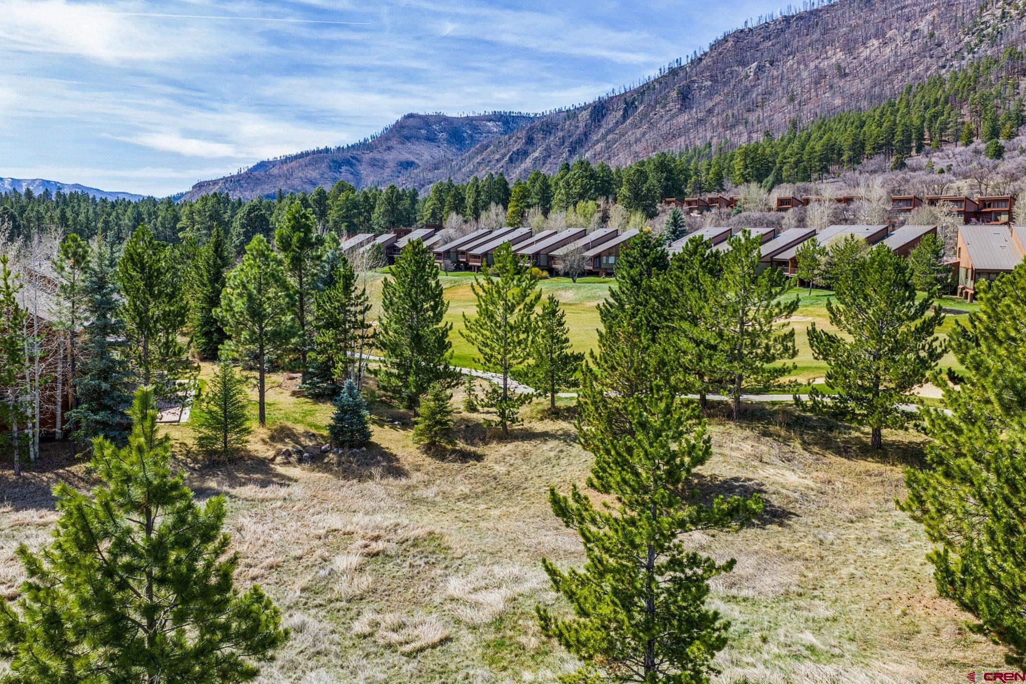 24 Cliffs Edge Drive Durango, CO 81301 - Photo 11 of 21 a view of a backyard with a garden
