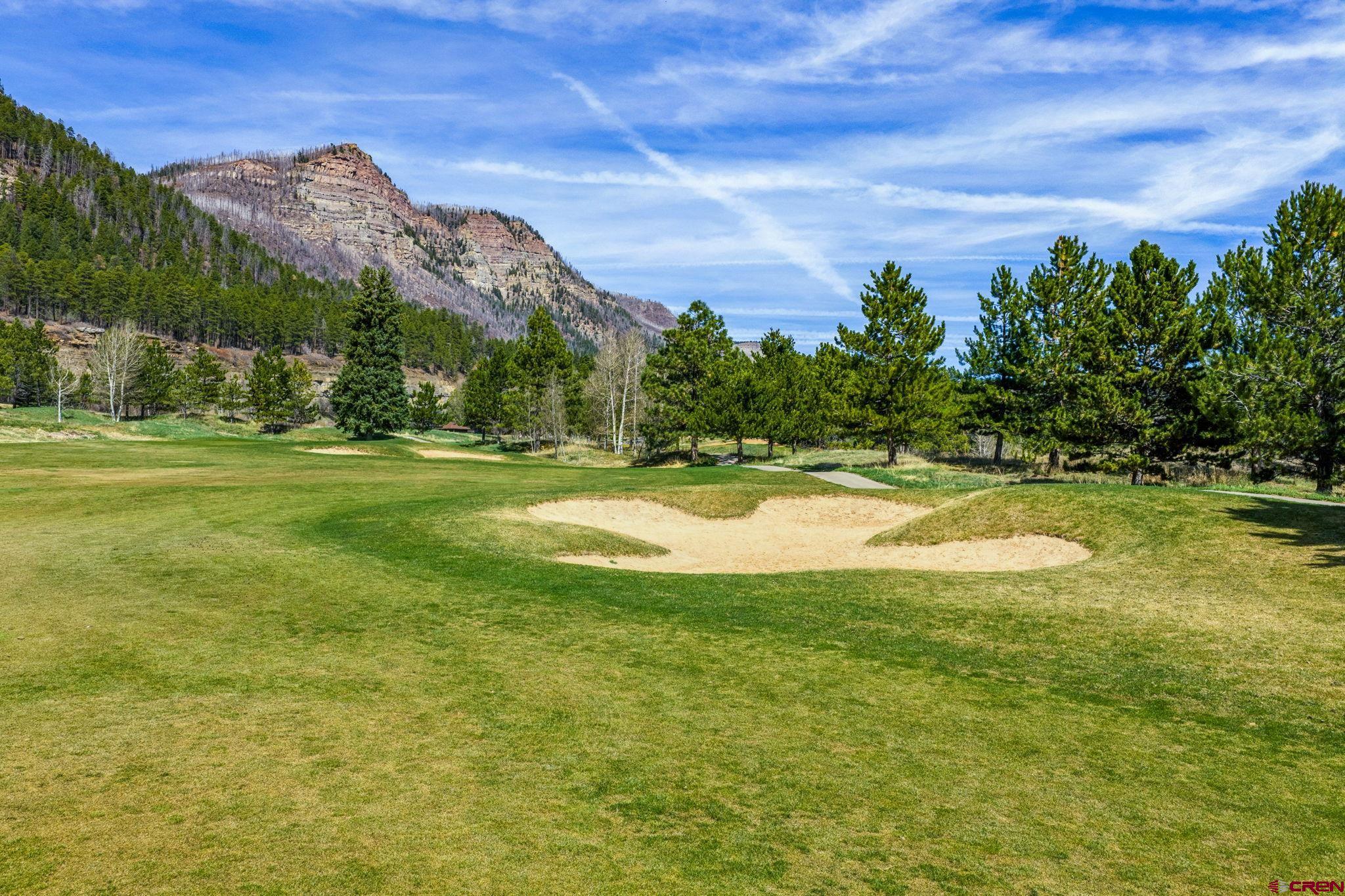 24 Cliffs Edge Drive Durango, CO 81301 - Photo 14 of 21 a view of a swimming pool with a big yard and a large tree