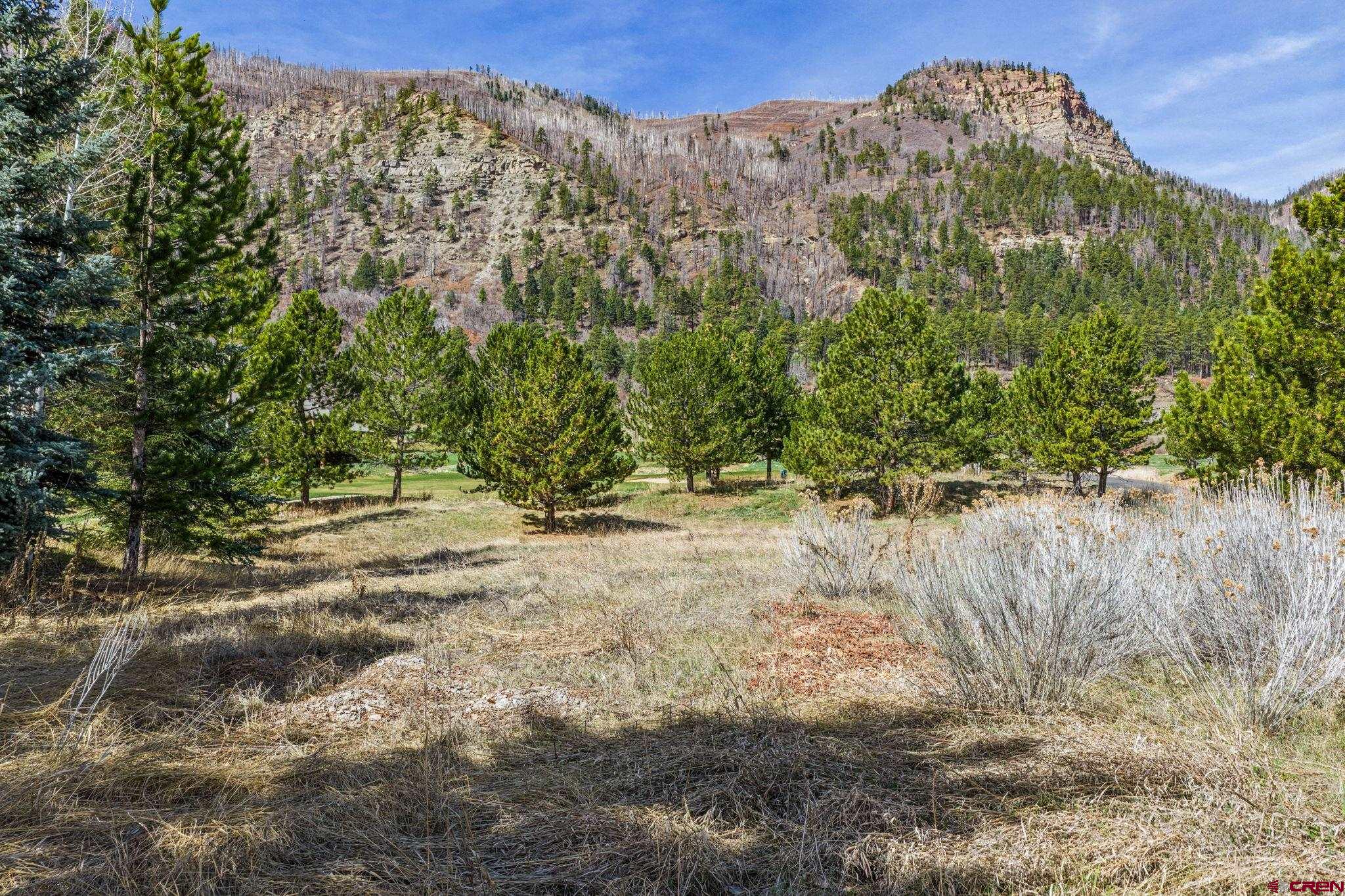 24 Cliffs Edge Drive Durango, CO 81301 - Photo 16 of 21 a view of a yard with a tree