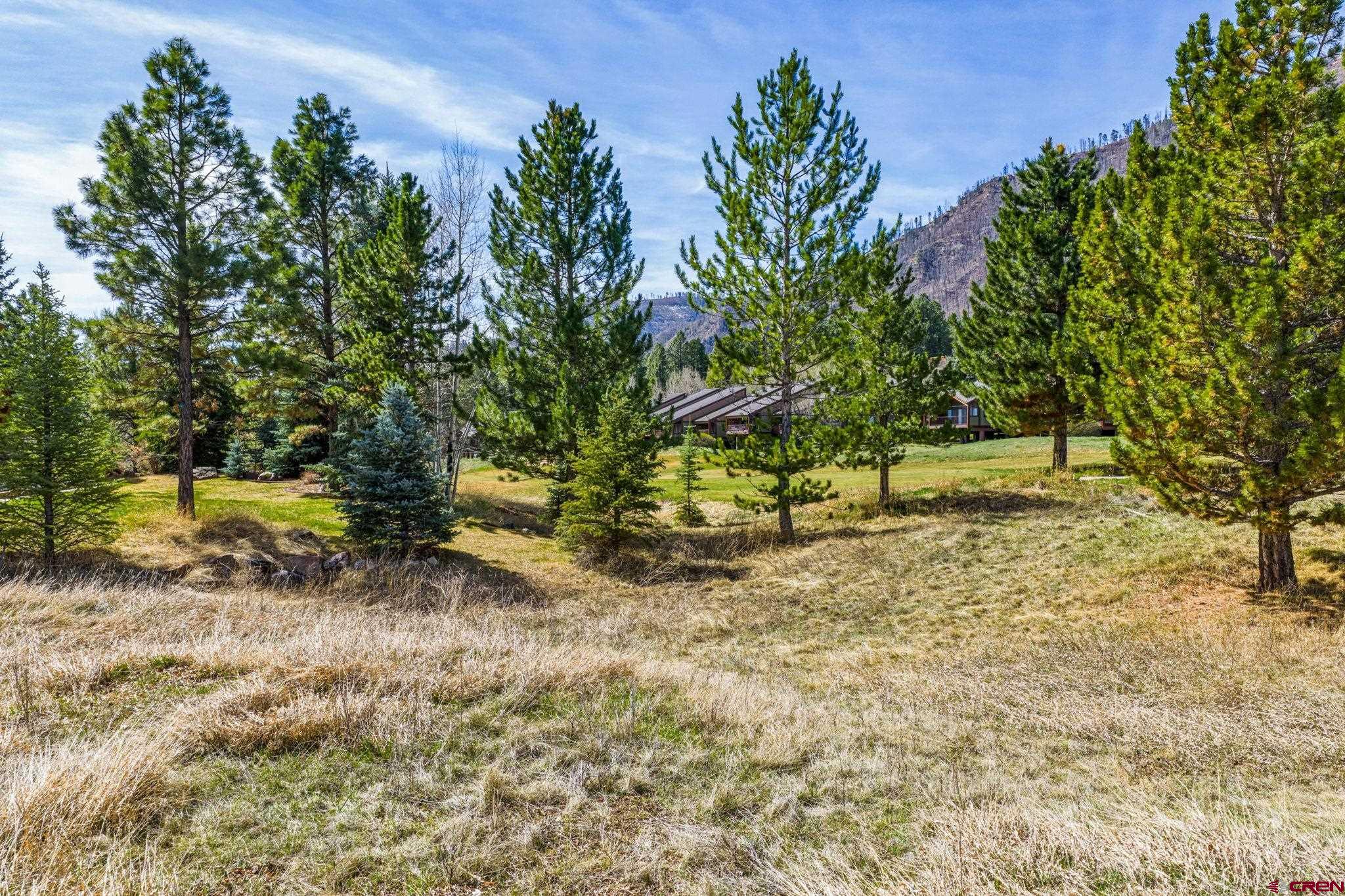 24 Cliffs Edge Drive Durango, CO 81301 - Photo 18 of 21 a view of backyard with tree